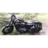 Satteltaschen S89 SKULL H-D Sportster