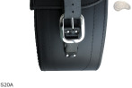 Satteltaschen S20 A