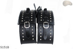 Satteltaschen S151