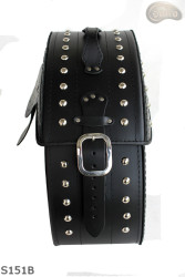 Satteltaschen S151