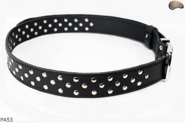 PA53 leather belt with flat decorative rivets