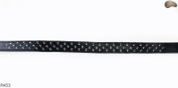 PA53 leather belt with flat decorative rivets