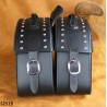 LEATHER SADDLEBAGS S251