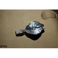 Pendentif pour le collier ZP762